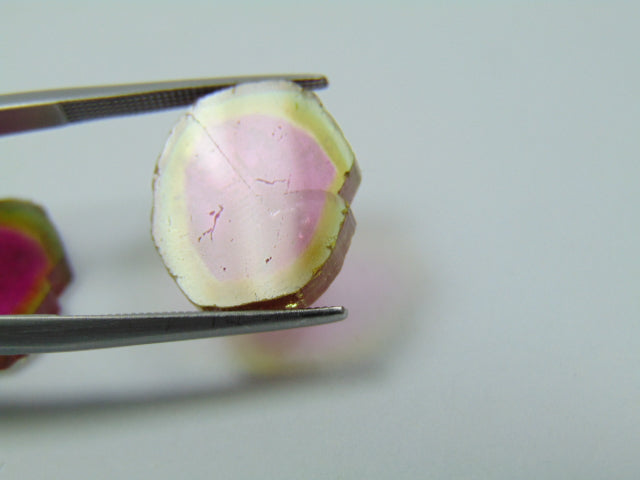 15.75ct Watermelon Tourmaline Pair 16x14mm