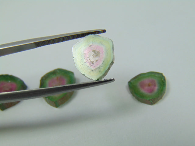 15ct Watermelon Tourmaline