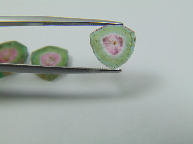 15ct Watermelon Tourmaline