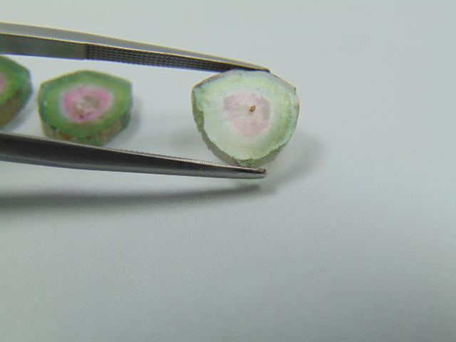 15ct Watermelon Tourmaline