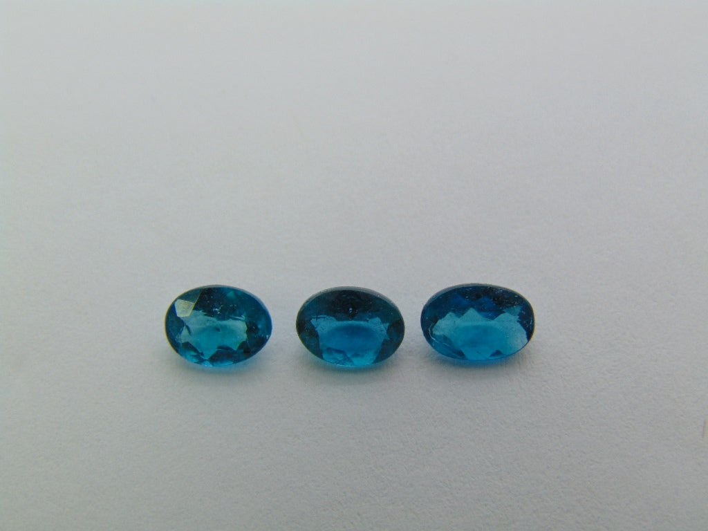 1.66ct Apatite 6x4mm