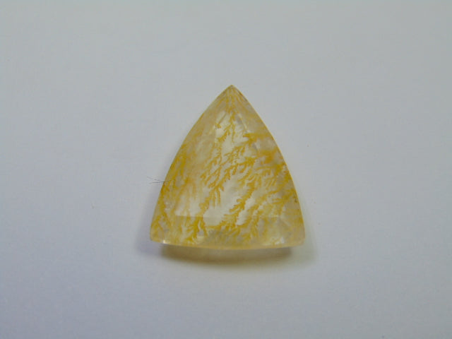 14.30ct Dendrita 20x17mm