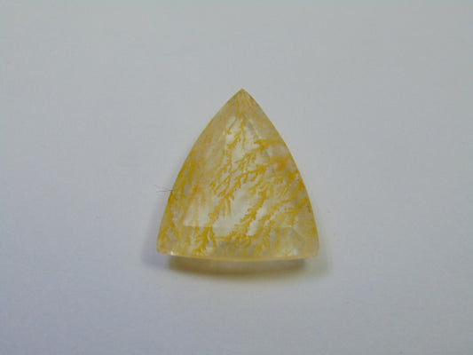 14.30ct Dendrita 20x17mm