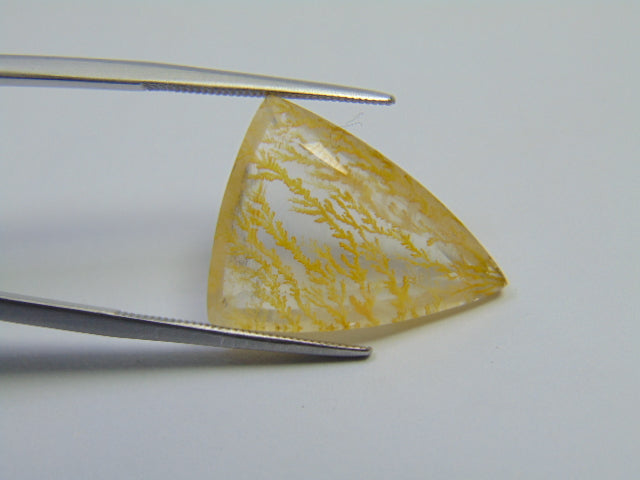 14.30ct Dendrita 20x17mm