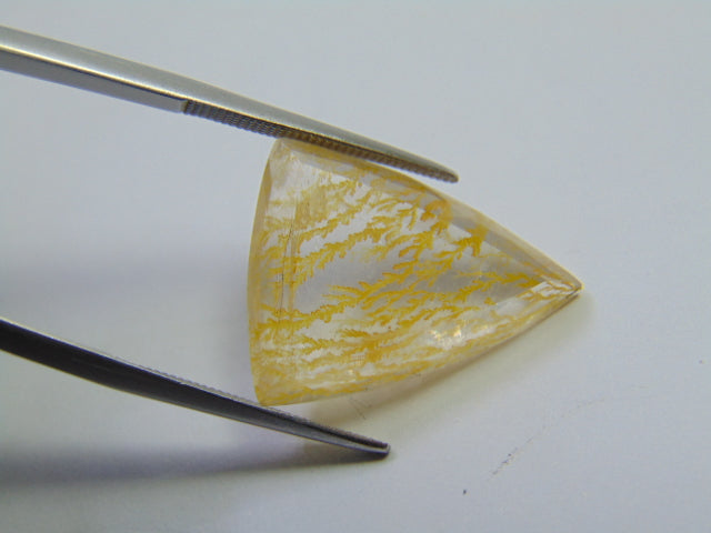 14.30ct Dendrita 20x17mm