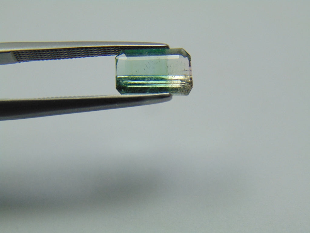 1.35ct Turmalina Bicolor 9x5mm