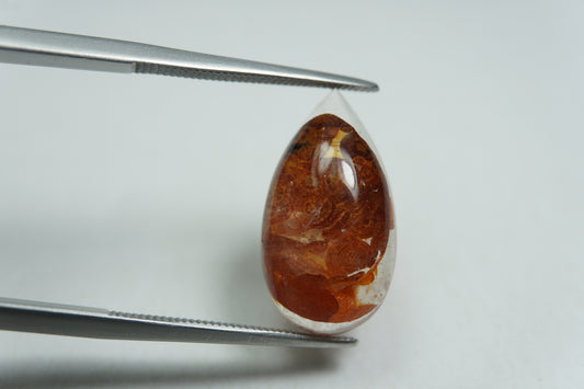 7.89ct Dendrita 18.5x10mm