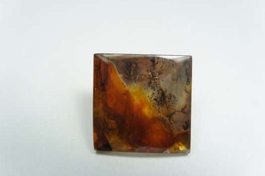 20.93ct Dendrita 17mm