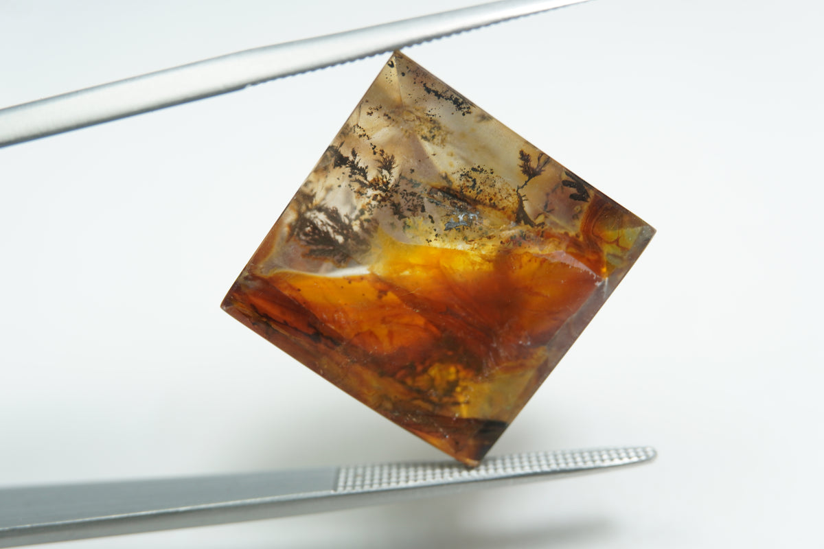 20.93ct Dendrita 17mm