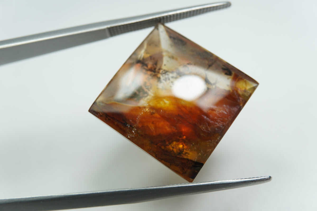 20.93ct Dendrita 17mm