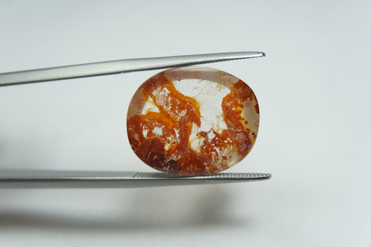 11.79ct Dendrita 17.5x14mm