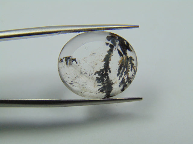 9.70ct Dendrita 17x15mm