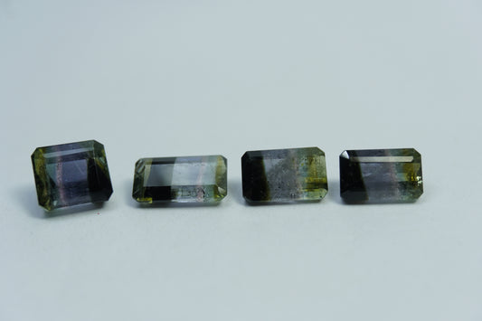 6.45ct Tourmalinas bicolor