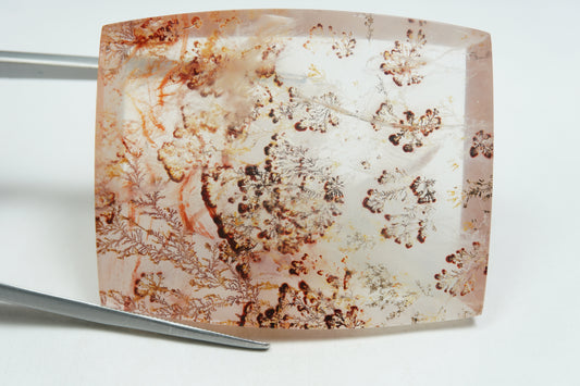 121.50ct Dendrita 43x35mm