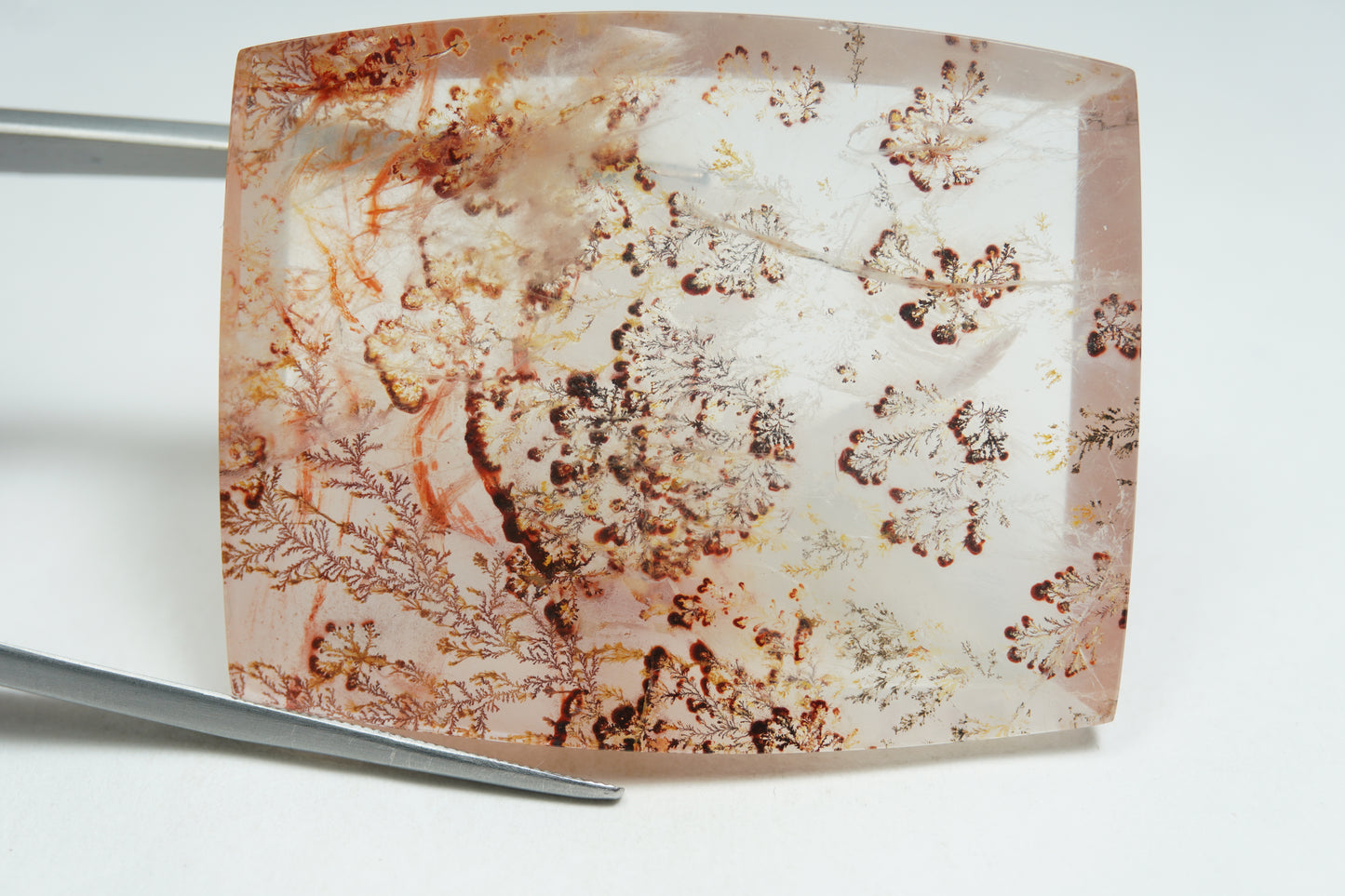 121.50ct Dendrite 43x35mm