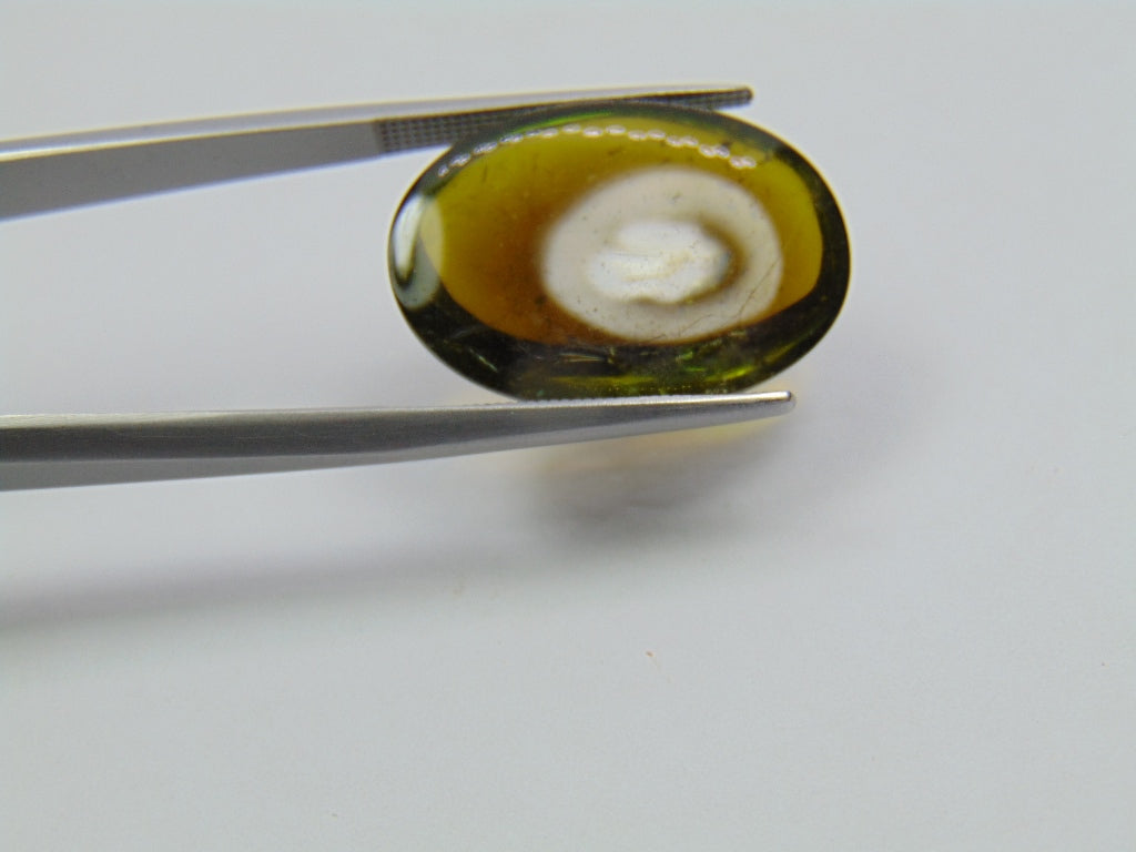 16.40ct Turmalina Cabochão 22x16mm