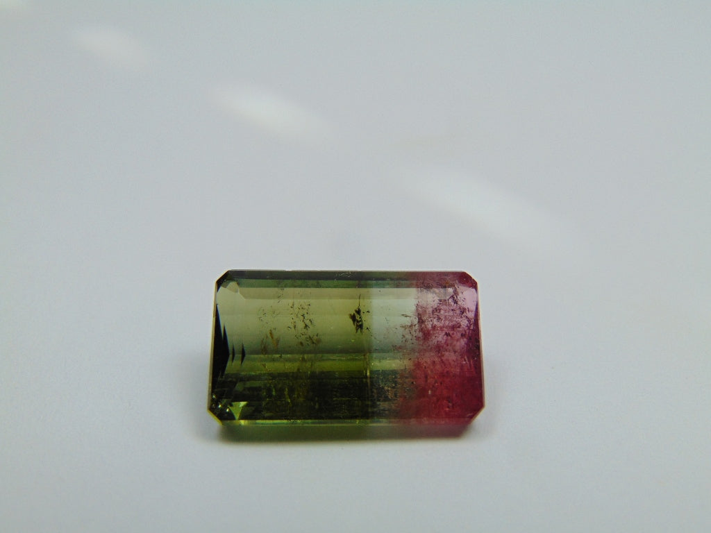 10.75ct Turmalina Bicolor 18x10mm