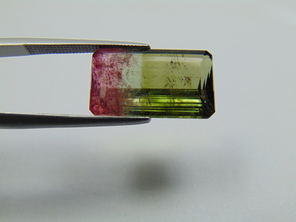 10.75ct Turmalina Bicolor 18x10mm