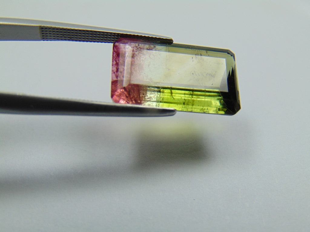 10.75ct Turmalina Bicolor 18x10mm