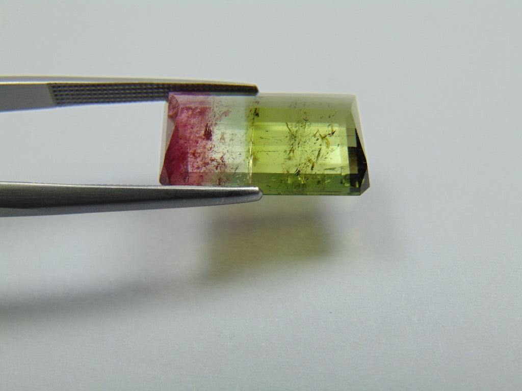 10.75ct Turmalina Bicolor 18x10mm