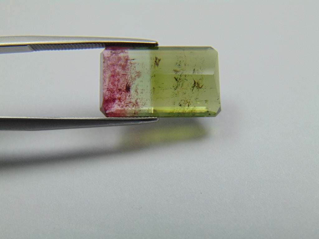 10.75ct Turmalina Bicolor 18x10mm