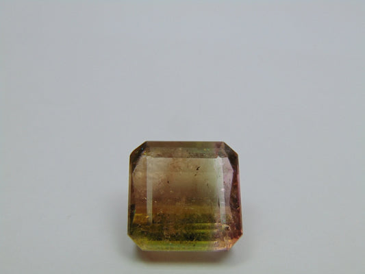 23.60ct Turmalina Bicolor 16mm