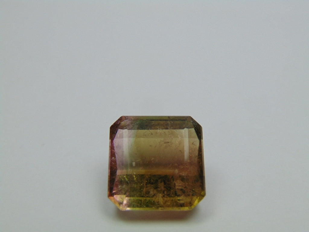 23.60ct Tourmaline Bicolor 16mm