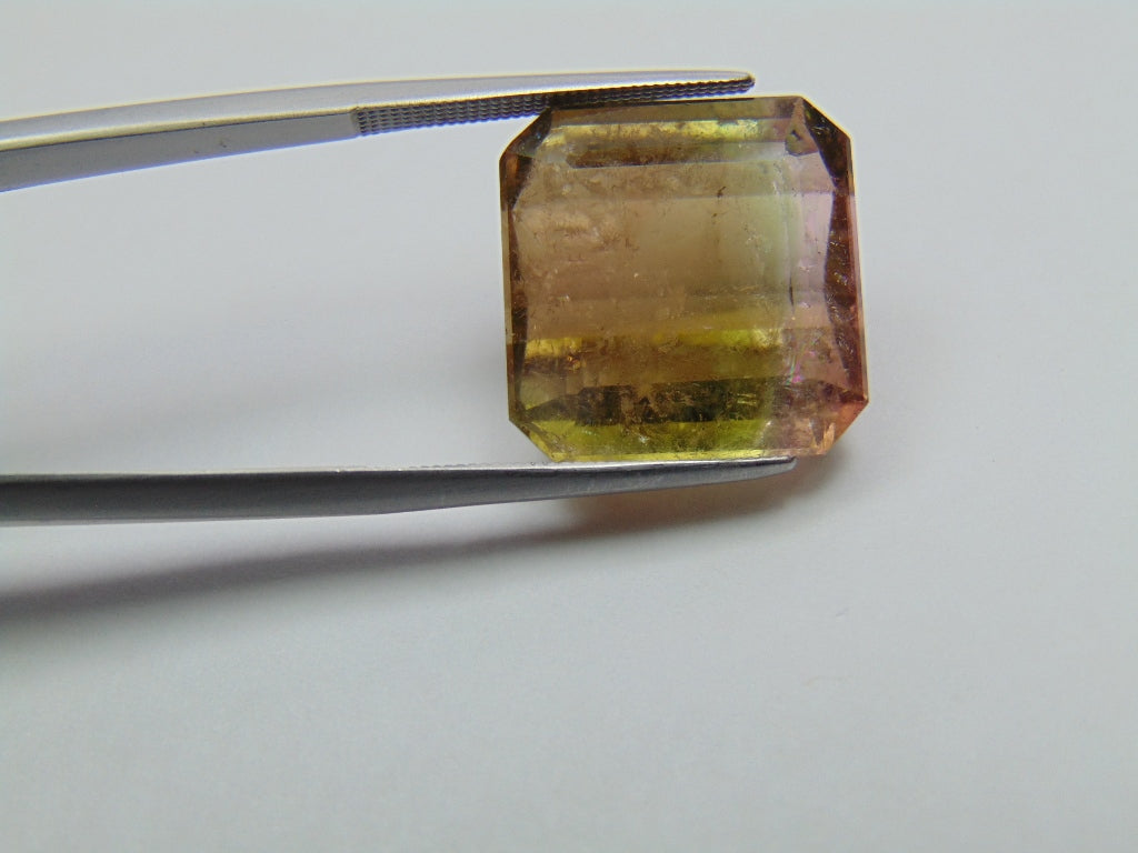 23.60ct Tourmaline Bicolor 16mm