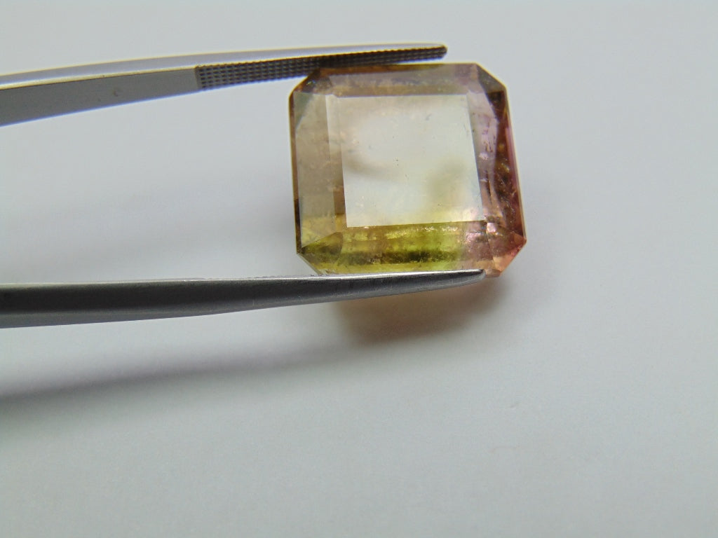 23.60ct Tourmaline Bicolor 16mm