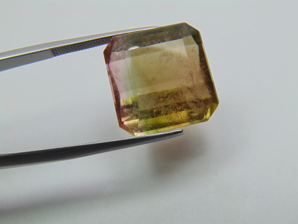 23.60ct Tourmaline Bicolor 16mm