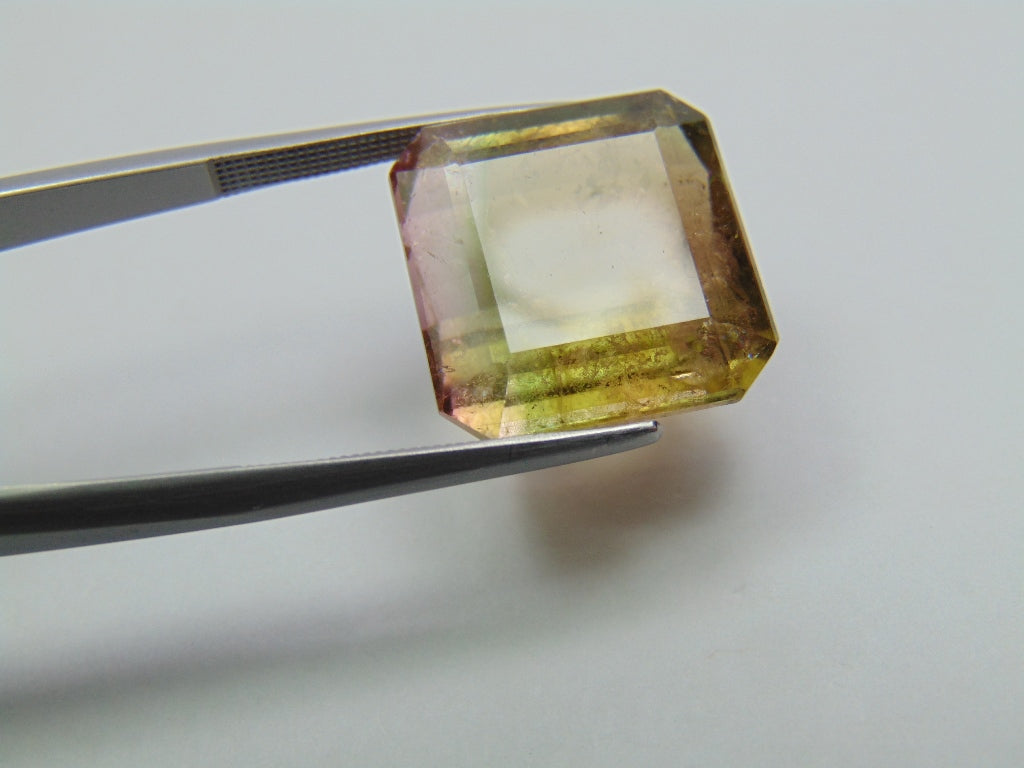 23.60ct Tourmaline Bicolor 16mm