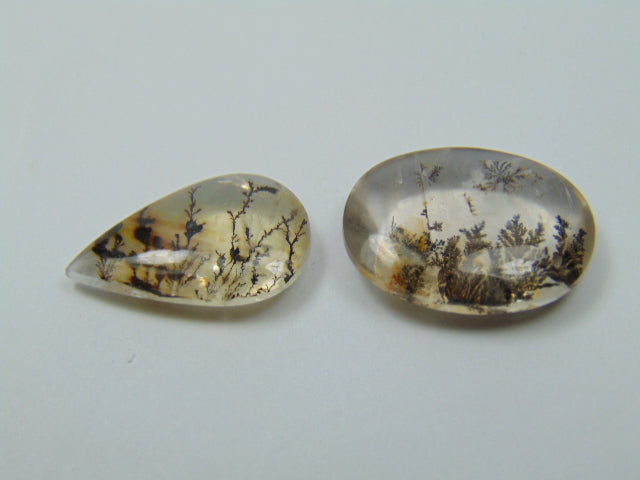 19.30ct Dendrita 20x13mm 20x14mm