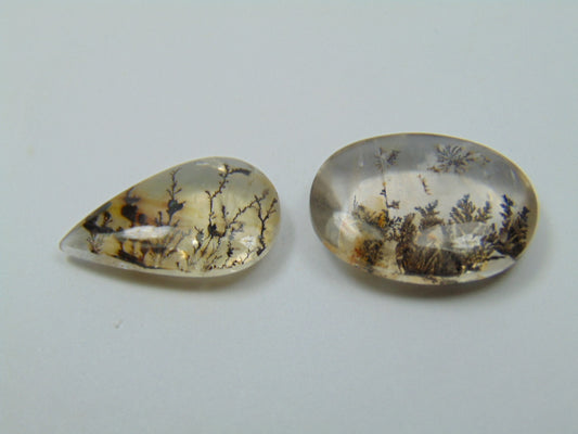 19.30ct Dendrita 20x13mm 20x14mm