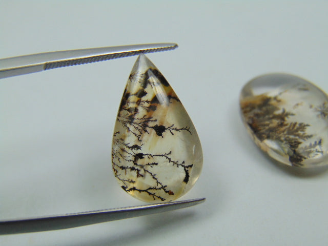19.30ct Dendrita 20x13mm 20x14mm
