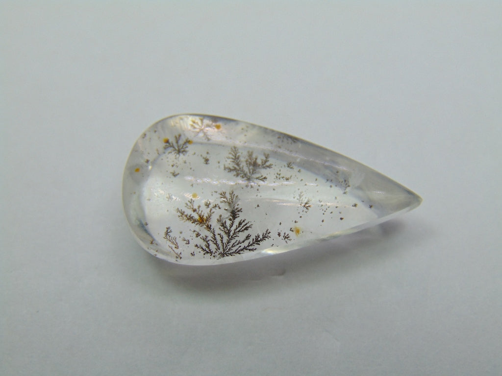 17.30ct Dendrita 27x14mm