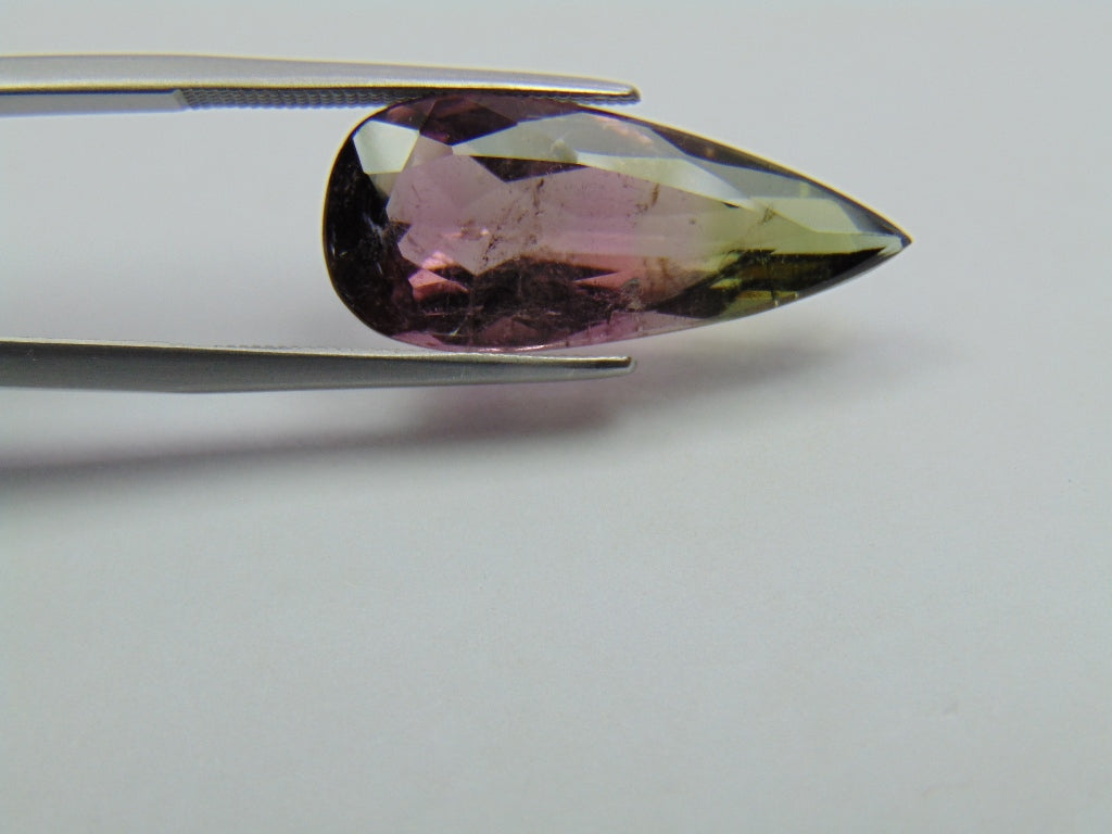 8.50ct Turmalina Bicolor 24x11mm