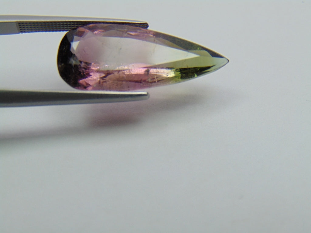 8.50ct Turmalina Bicolor 24x11mm