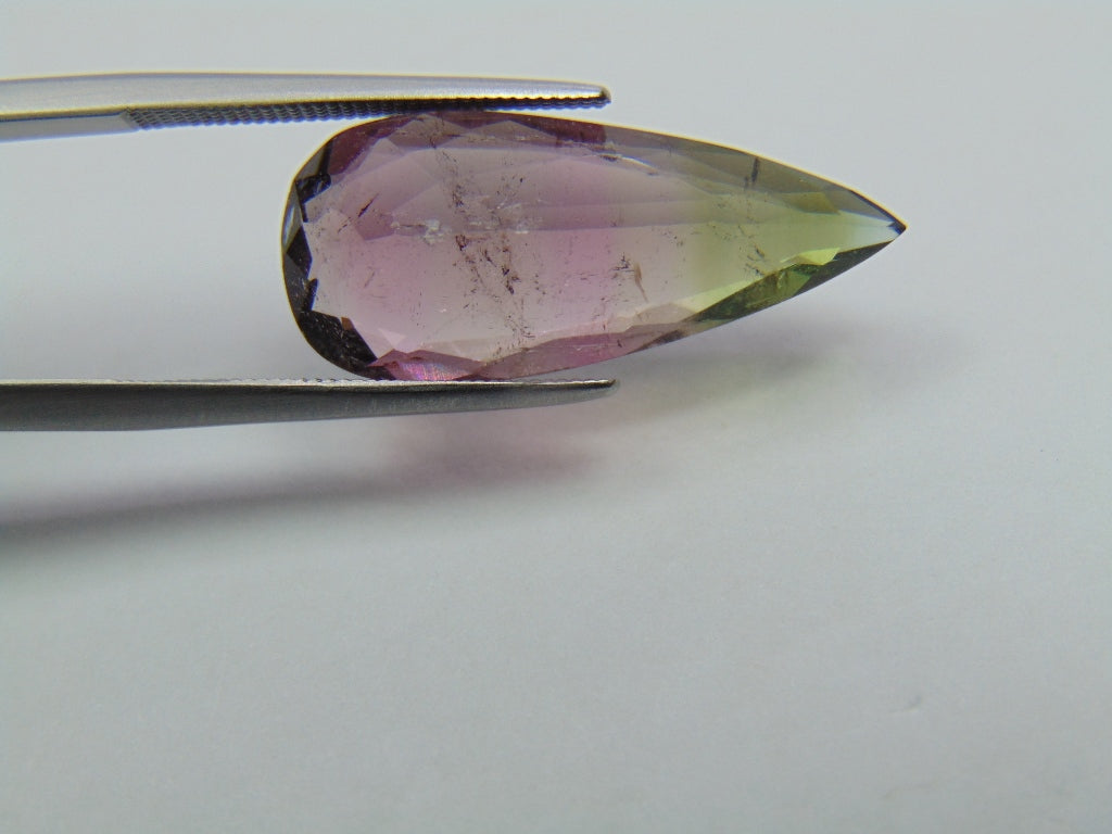 8.50ct Turmalina Bicolor 24x11mm