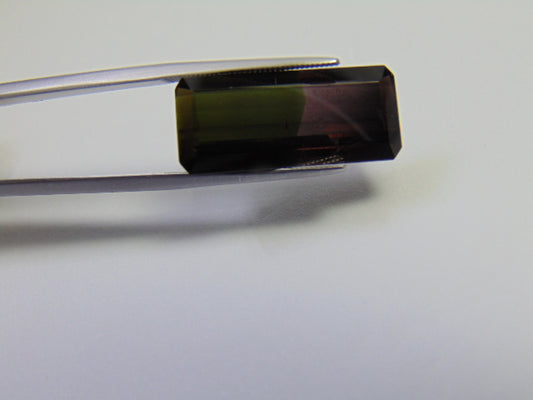 11.90ct Turmalina Bicolor 24x12mm