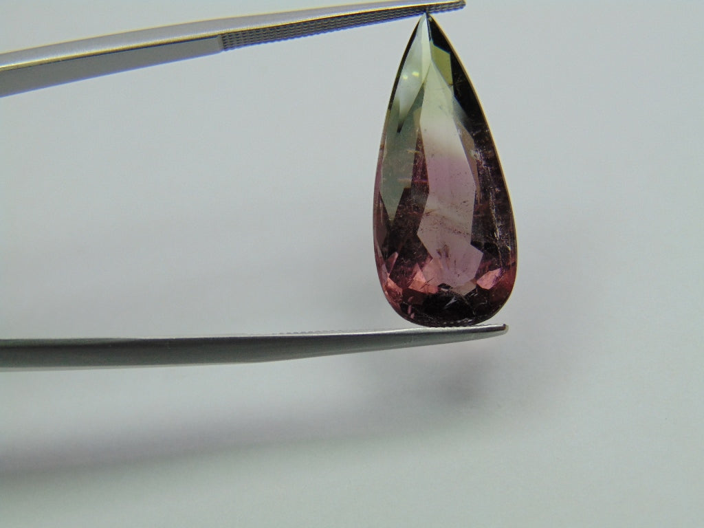 8.50ct Turmalina Bicolor 24x11mm