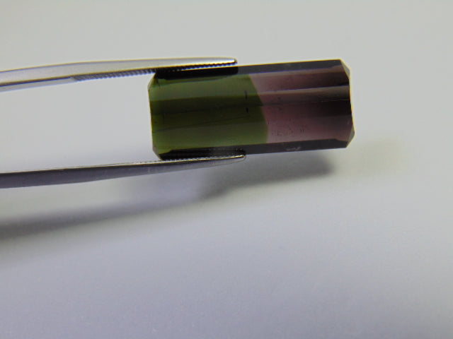 11.90ct Turmalina Bicolor 24x12mm