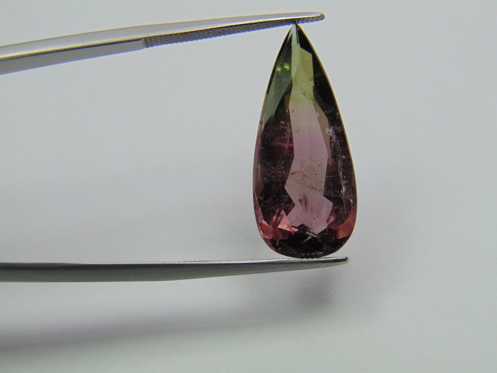 8.50ct Turmalina Bicolor 24x11mm