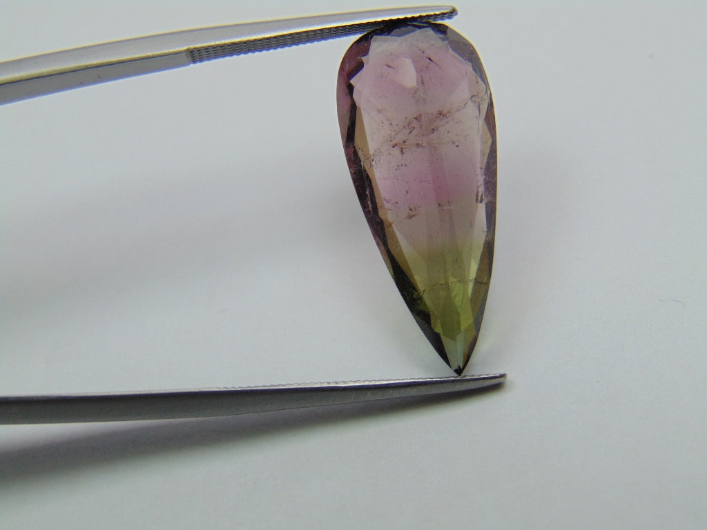 8.50ct Turmalina Bicolor 24x11mm