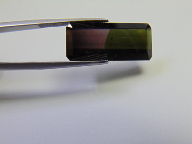 11.90ct Turmalina Bicolor 24x12mm