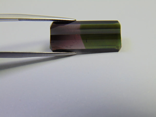 11.90ct Turmalina Bicolor 24x12mm