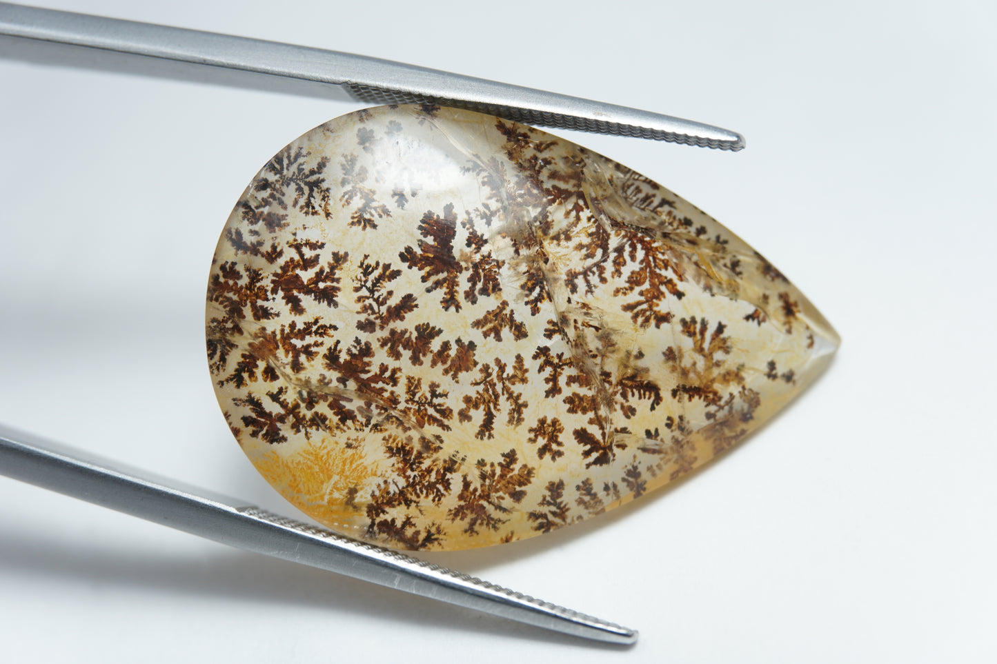26.40ct Dendrite 30x20mm