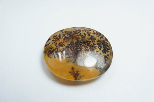 26.90ct Dendrita 23x21mm