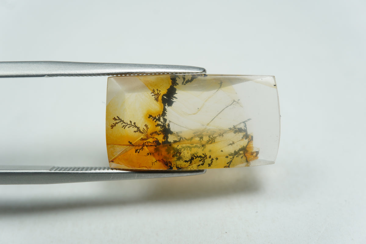 10.28ct Dendrite 20x11mm