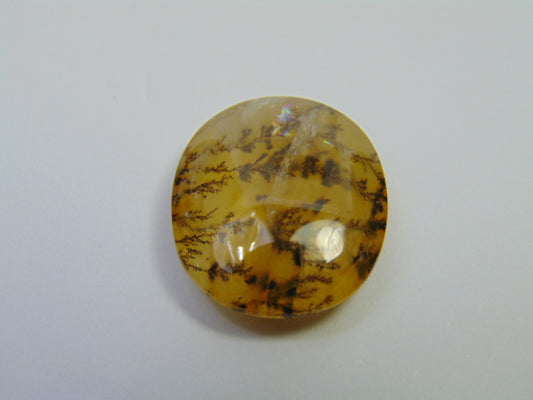 27.20ct Dendrita 23x20mm