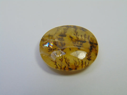 27.20ct Dendrita 23x20mm